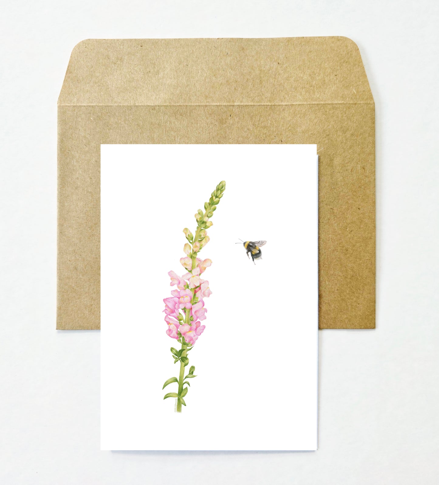 Flowers and Bees 12 Pack Greeting Card set