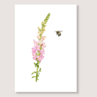 Snapdragon and Bee Print