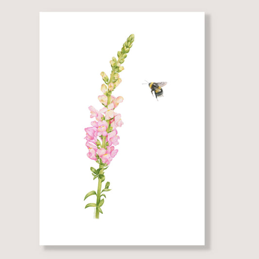 Snapdragon and Bee Print