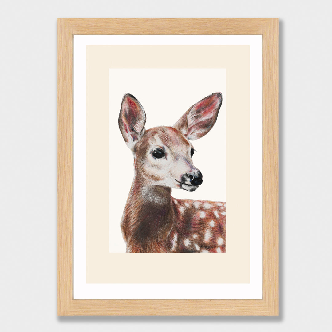 Doe Print