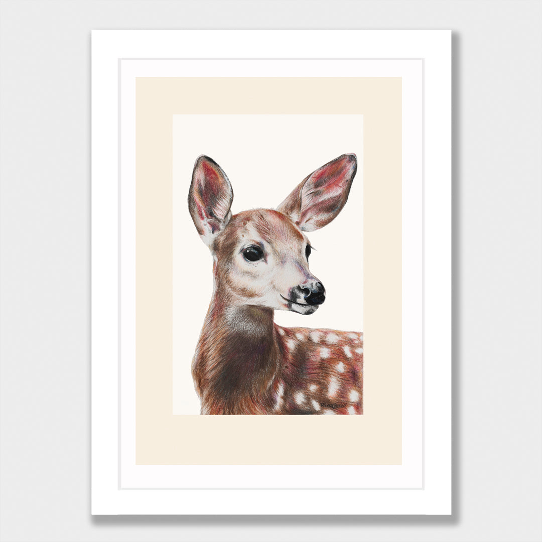 Doe Print