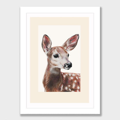 Doe Print