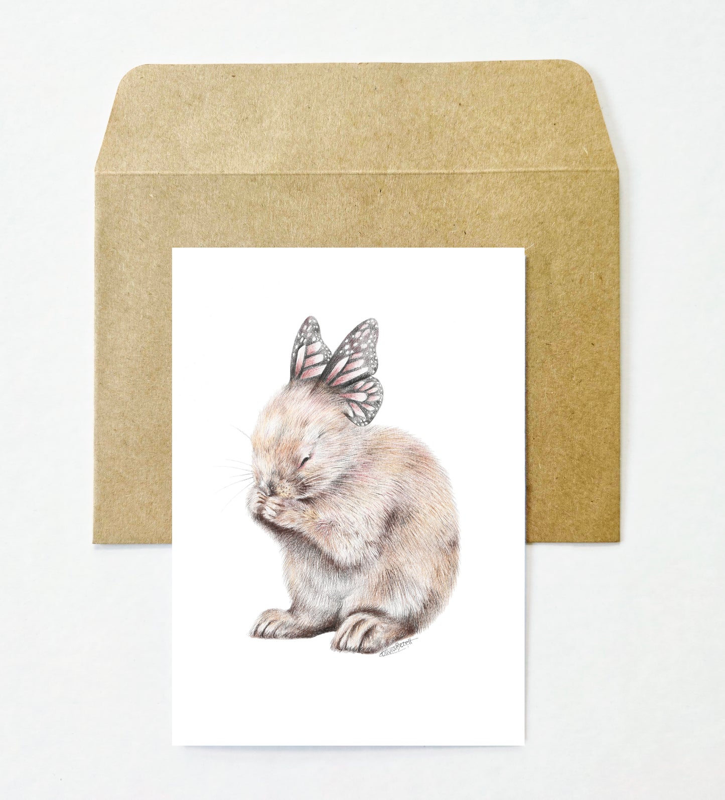 Woodland 12 Pack Greeting Card set