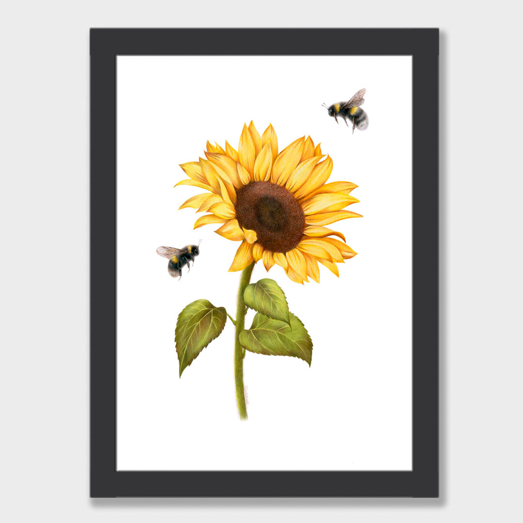 Sunflower and Bees Print