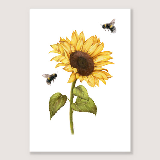 Sunflower and Bees Print