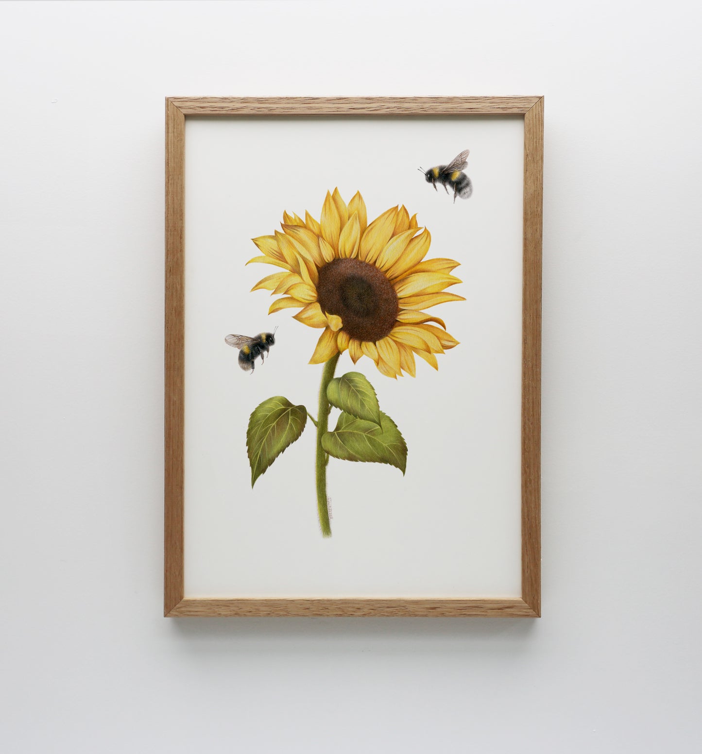 Sunflower and Bees Print