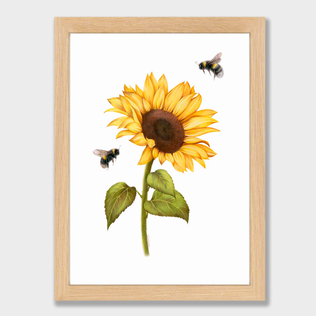 Sunflower and Bees Print