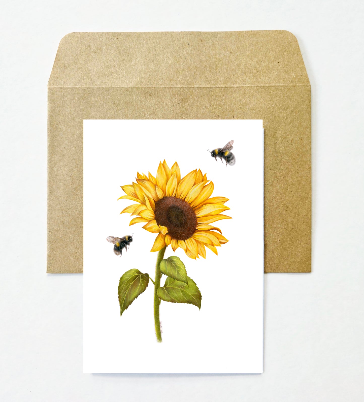 Flowers and Bees 12 Pack Greeting Card set
