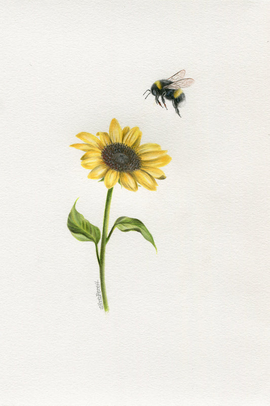 Bee with Sunflower 1