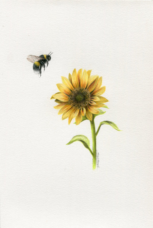 Bee with Sunflower 2