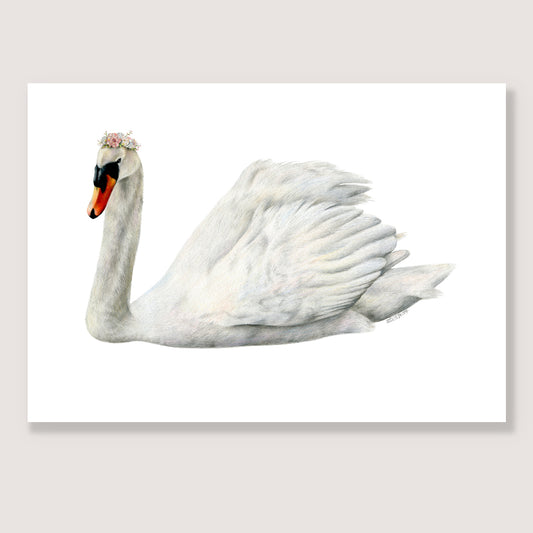 SALE - Swan print A5