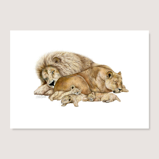 SALE - The Lion Sleeps Tonight print A4