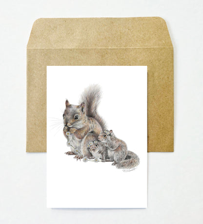 Woodland 12 Pack Greeting Card set