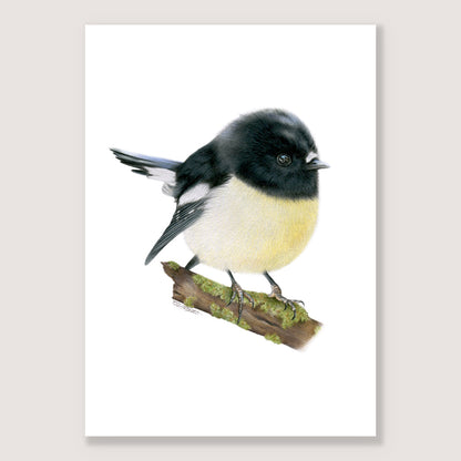 Tomtit Print