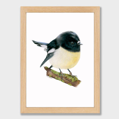 Tomtit Print