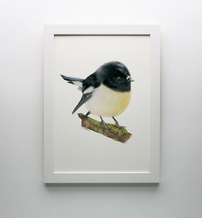 Tomtit Print