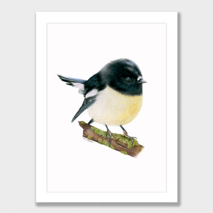 Tomtit Print