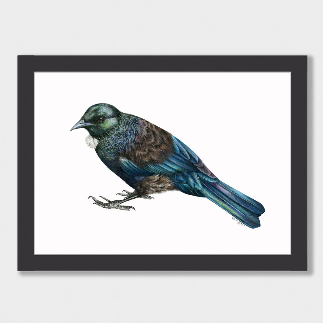Tui Print