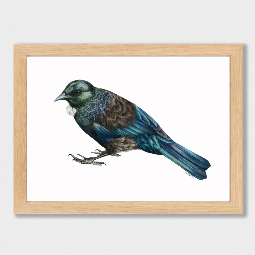 Tui Print