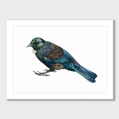 Tui Print