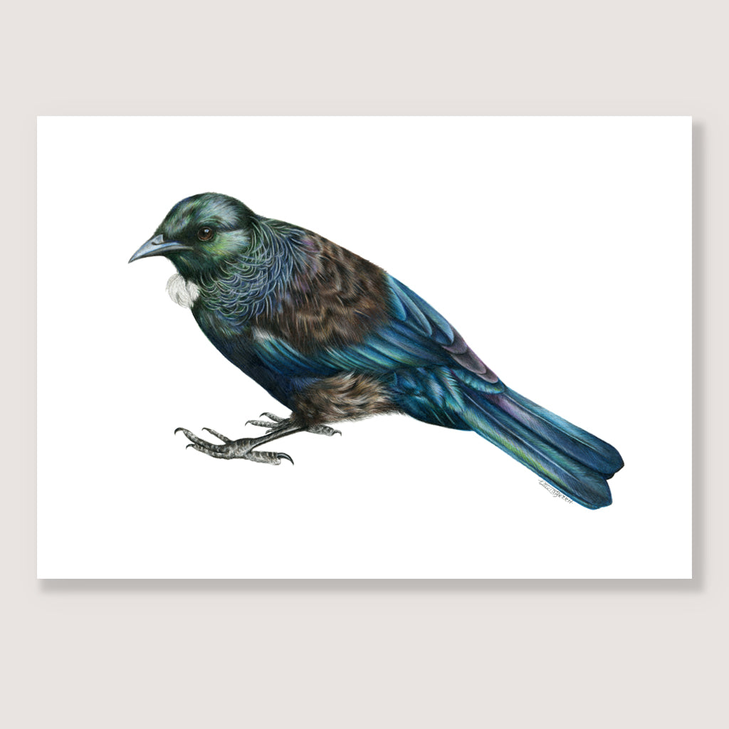 SALE - Tui print A5