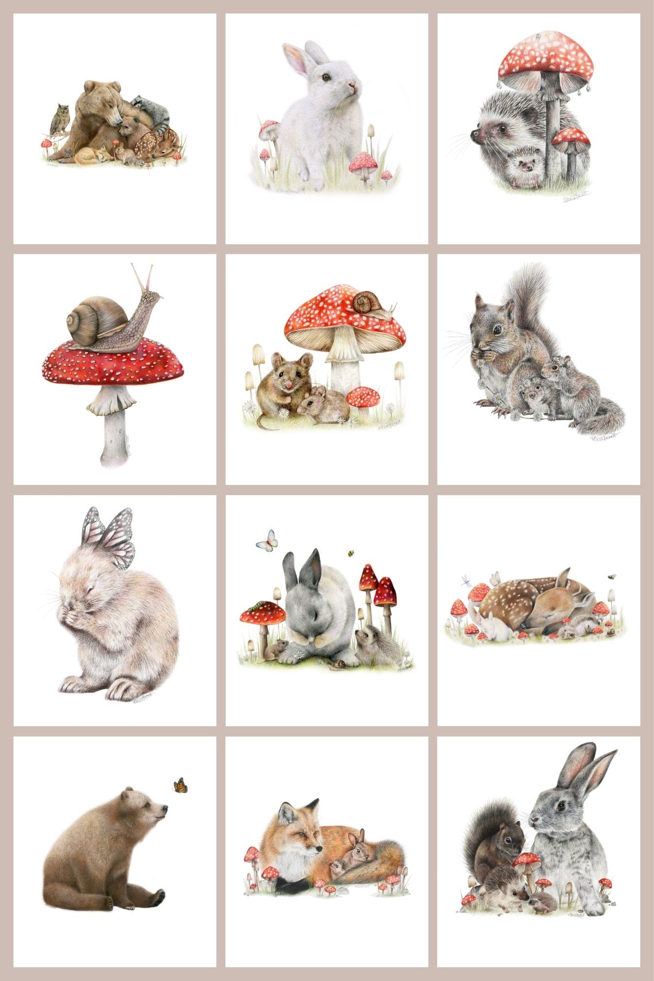 PREORDER - Woodland 12 Pack Greeting Card set