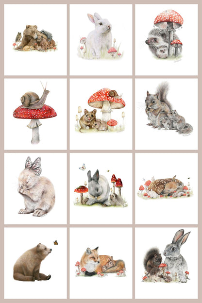 Woodland 12 Pack Greeting Card set