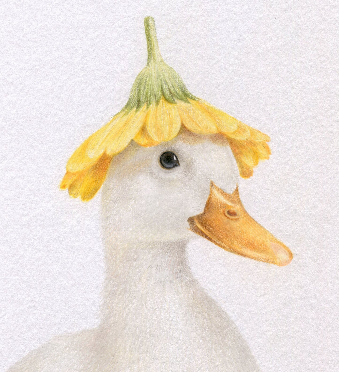 Original 'White Duck with Flower Hat'