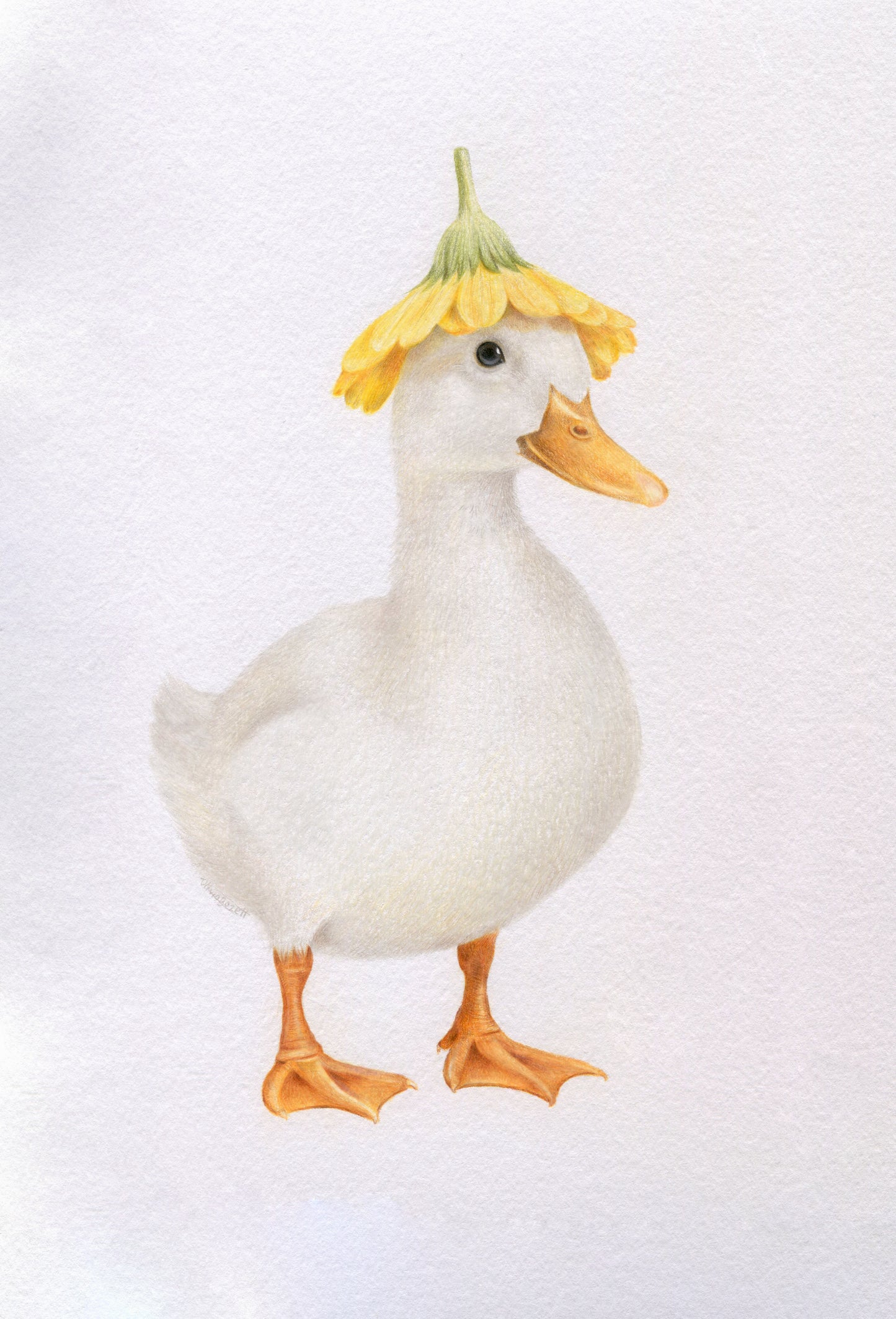 Original 'White Duck with Flower Hat'