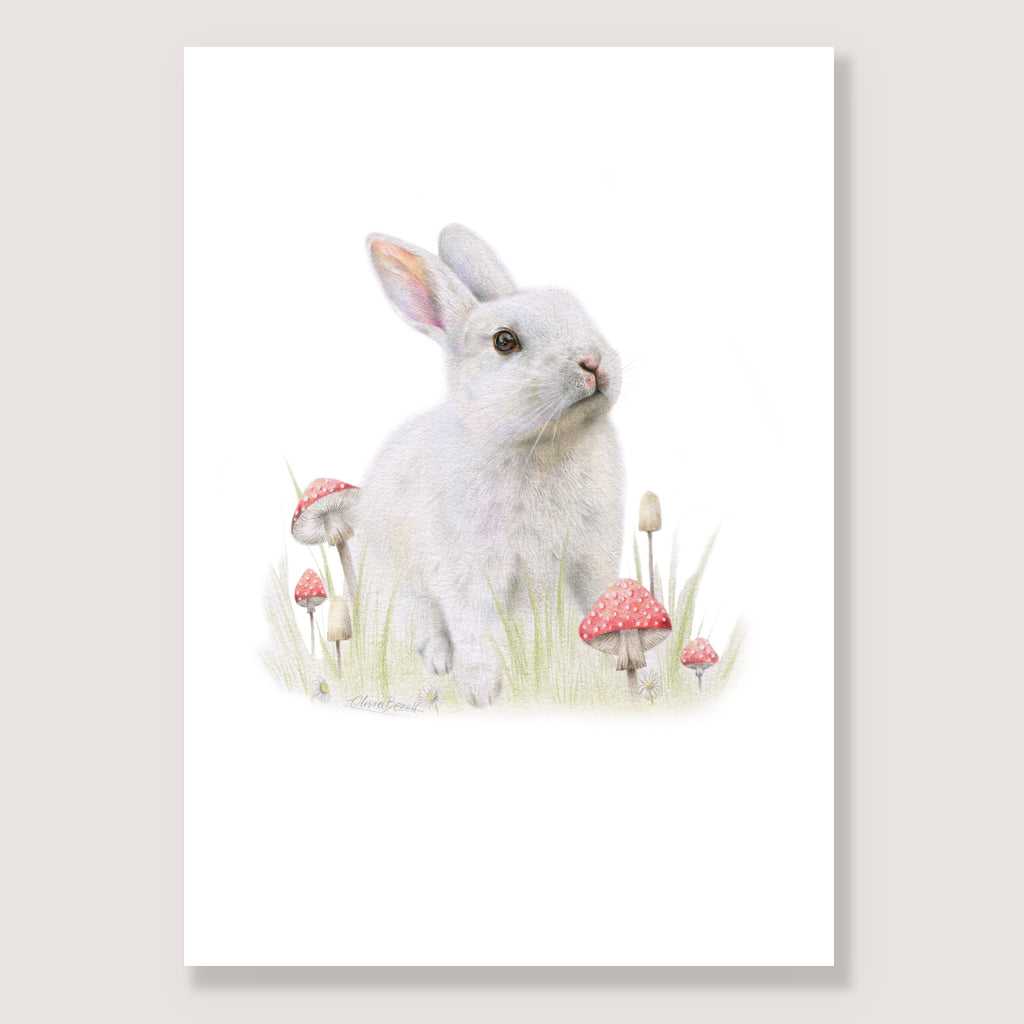 SALE - White Rabbit print A5