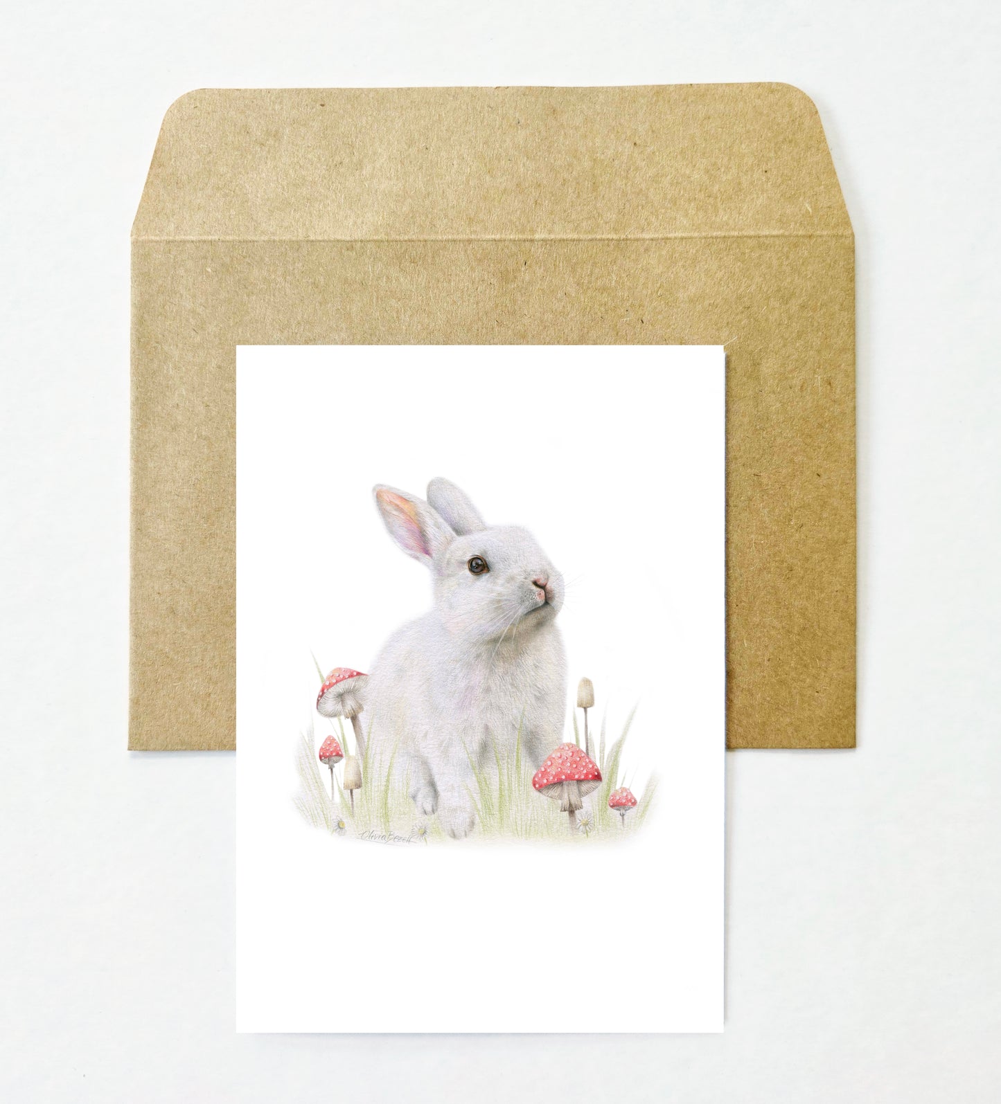Woodland 12 Pack Greeting Card set