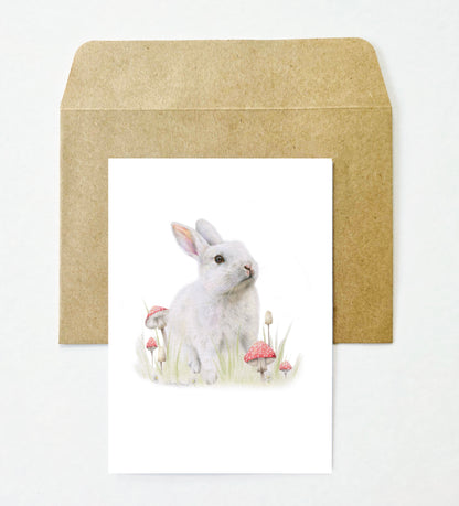 Woodland 12 Pack Greeting Card set