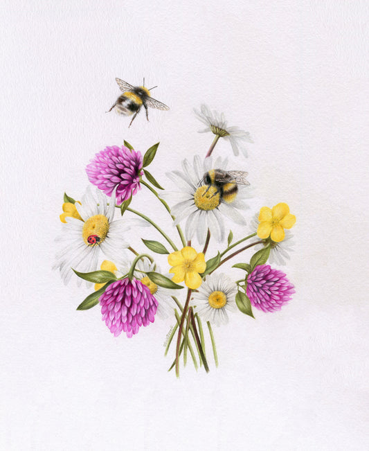 Original 'Wildflowers and Bees'