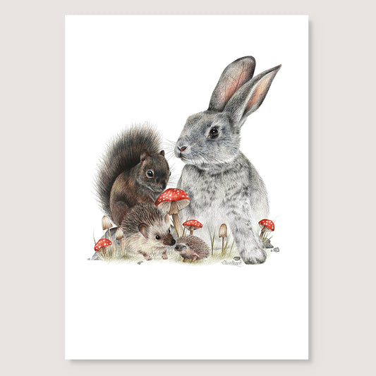 SALE - Bunny & Friends print A4