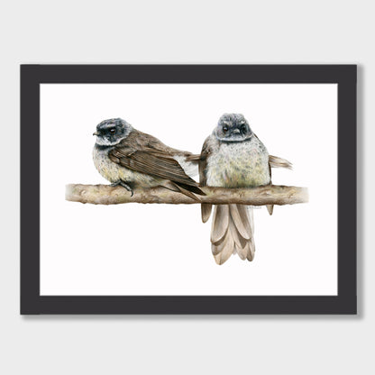 Cheeky Fantails Print