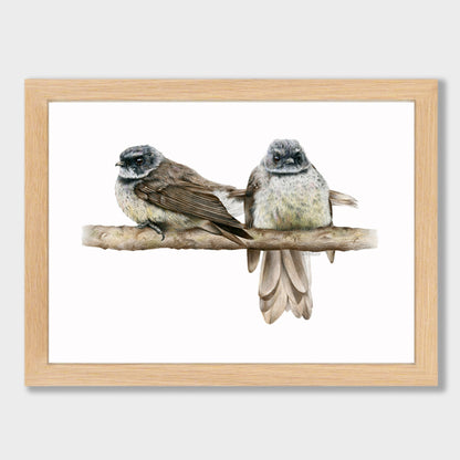 Cheeky Fantails Print