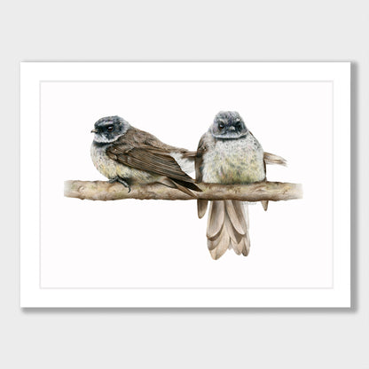 Cheeky Fantails Print