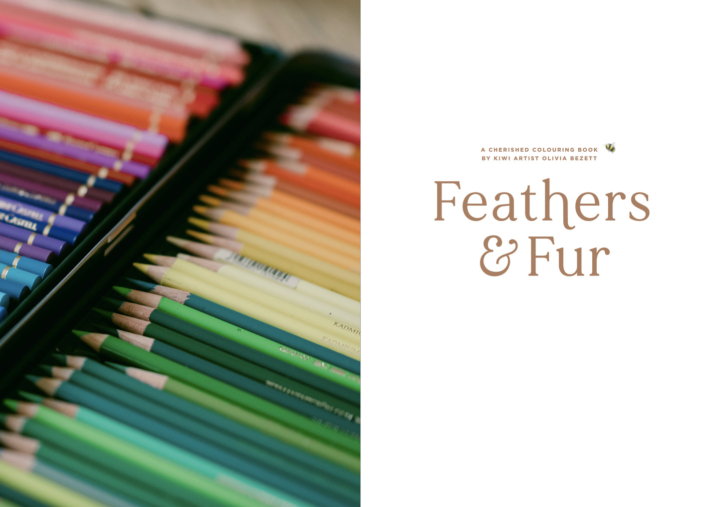 Feathers & Fur Colouring Book