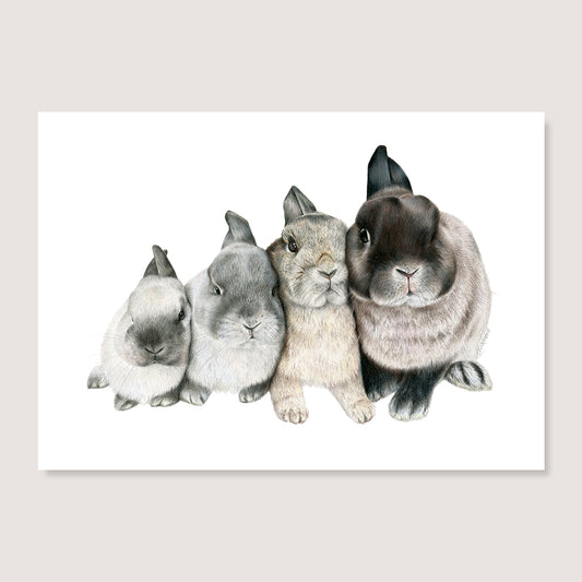 SALE - Four Bunnies print A5