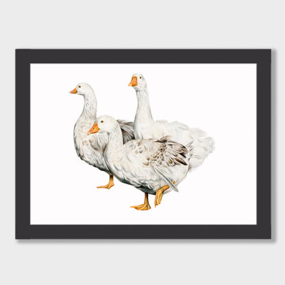 Geese Family Print