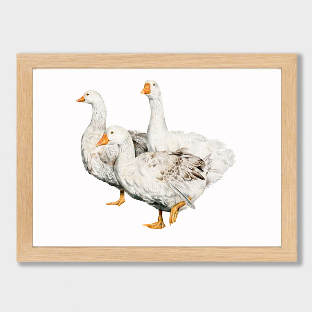 Geese Family Print