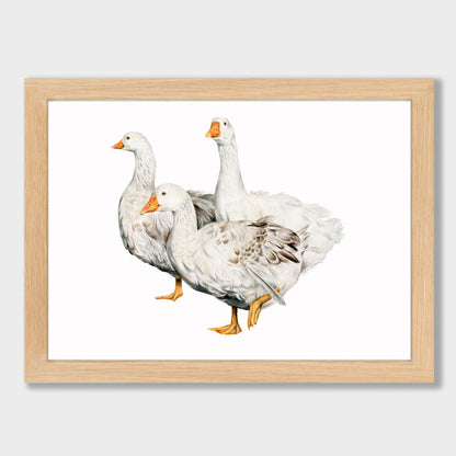 Geese Family Print