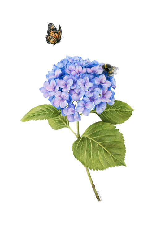 PREORDER - Hydrangea, Bee and Butterfly Greeting Card