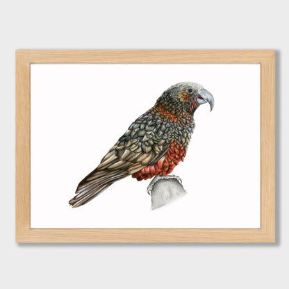 Kaka Print