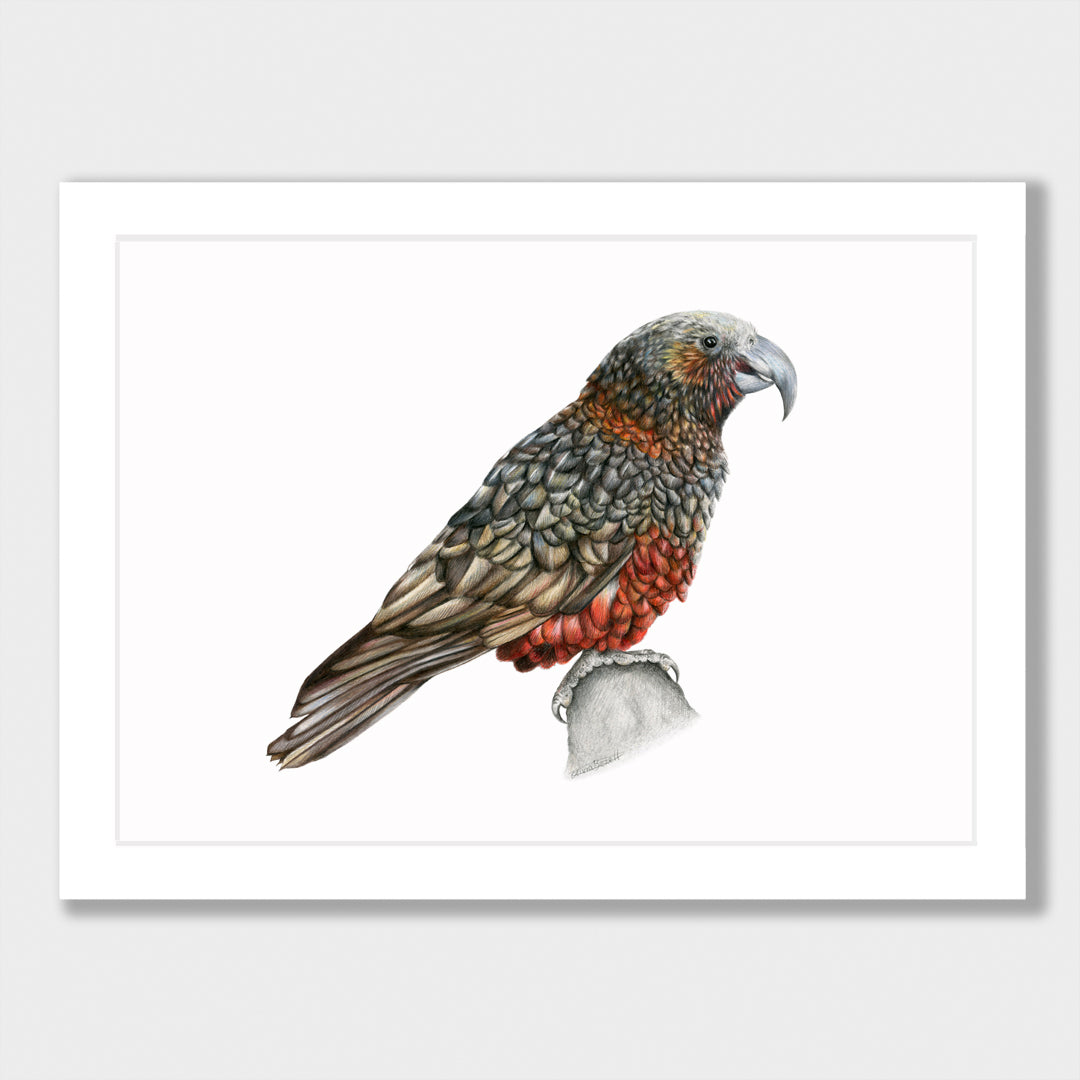 Kaka Print