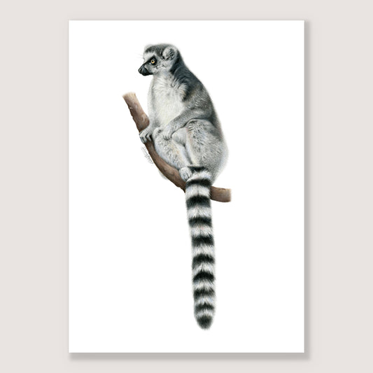 SALE - Lemur print A5