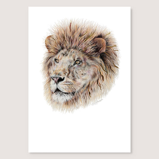 SALE - Lion print A5