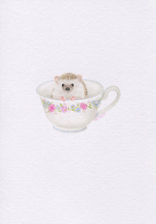 Mini one-off original 'Hedgehog in a Teacup'