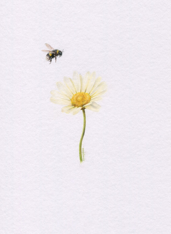 Mini one-off original 'Daisy and Bee 2' – Olivia Bezett Artist