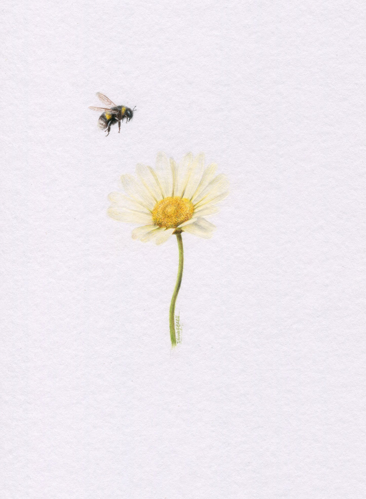 Mini one-off original 'Daisy and Bee 2'